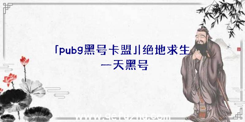 「pubg黑号卡盟」|绝地求生